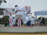 Bilder_2013 (3)